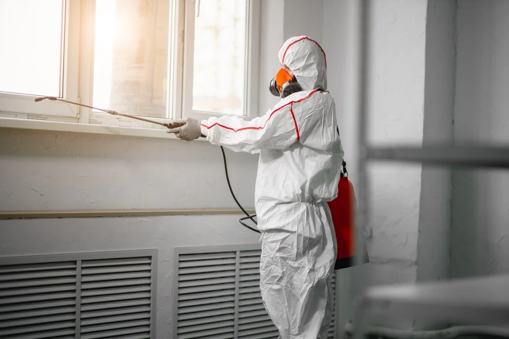 Professional mold remediation services in Emmitsburg, MD
